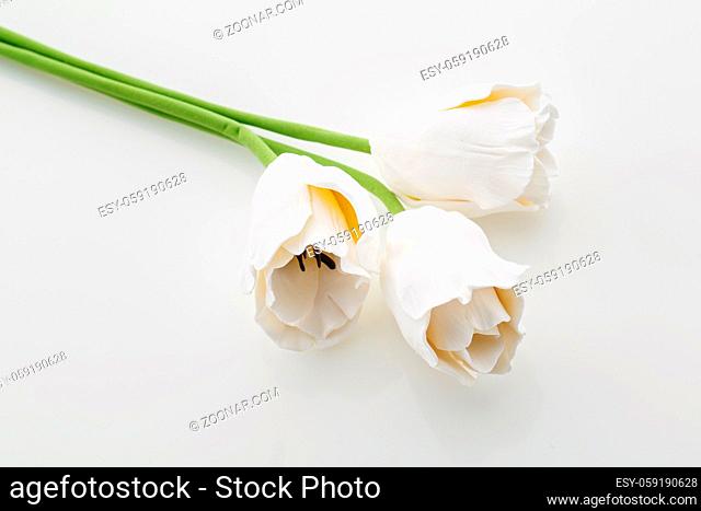 Beautiful handmade art clay tulip flowers. Closeup over white background