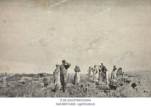 The Unexpected Arrival, peasants scan the horizon, engraving by Cantagalli from a painting by Francesco Lojacono (1838-1915), from L'Illustrazione Italiana