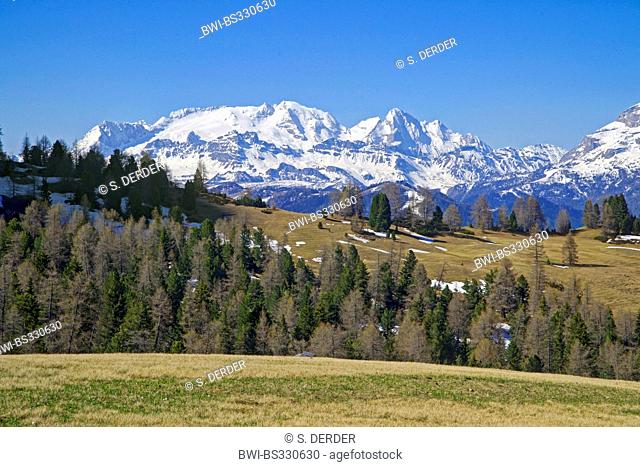 view from Armentara Alp to Marmolada and Sas dla Crusc, Italy, South Tyrol, Dolomites