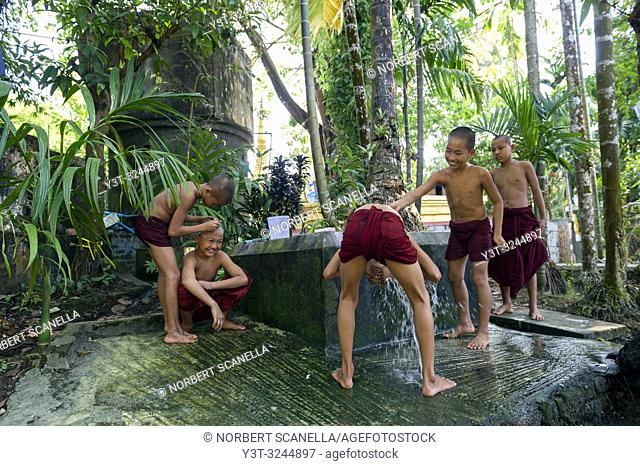 Myanmar (formerly Burma). Mon State. Mawlamyine (Moulmein). Gaungse Kyun, Shampoo island. Young monks shaving their heads