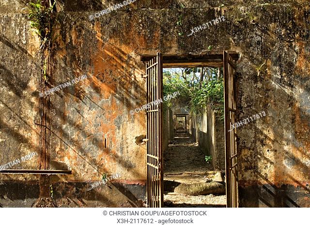 ruined cells of penal colony on Ile Saint-Joseph, Iles du Salut Islands of Salvation, French Guiana, overseas department and region of France