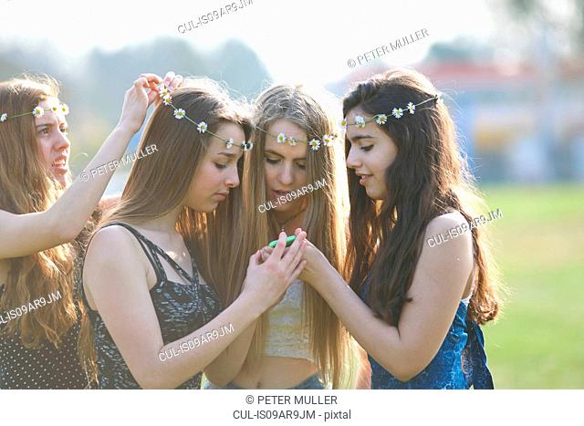 Four teenage girls wearing daisy chain headdresses reading smartphone texts in park