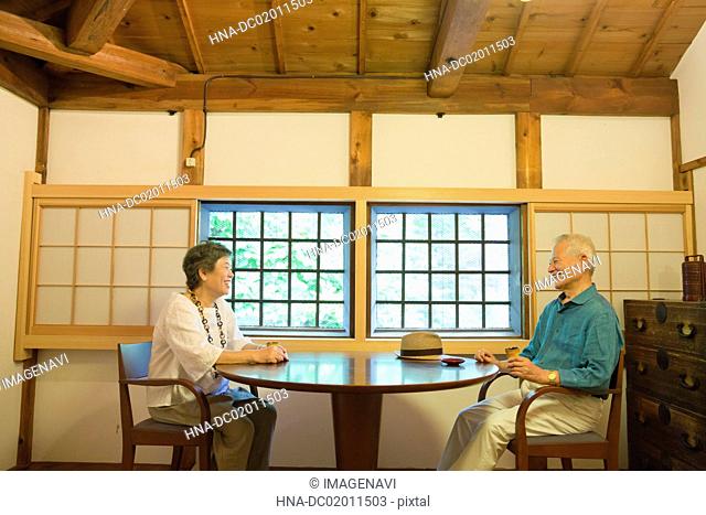 Senior couple chatting