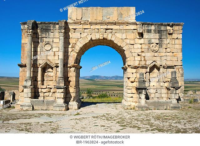 Triumphal arch of Caracalla, Roman ruins, ancient residential city of Volubilis, northern Morocco, Africa