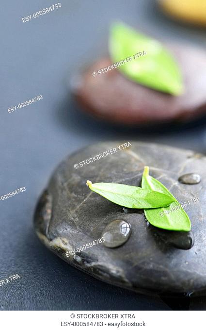 Zen stones submerged in water with green leaves