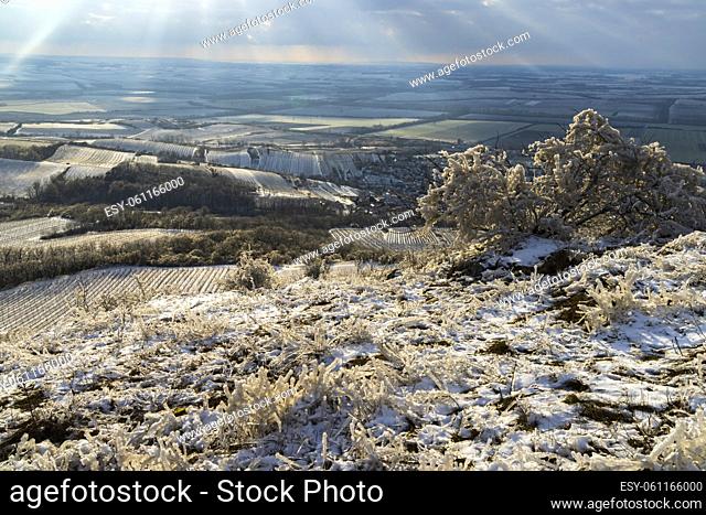 Winter landscape near Mikulov, Palava region, Southern Moravia, Czech Republic