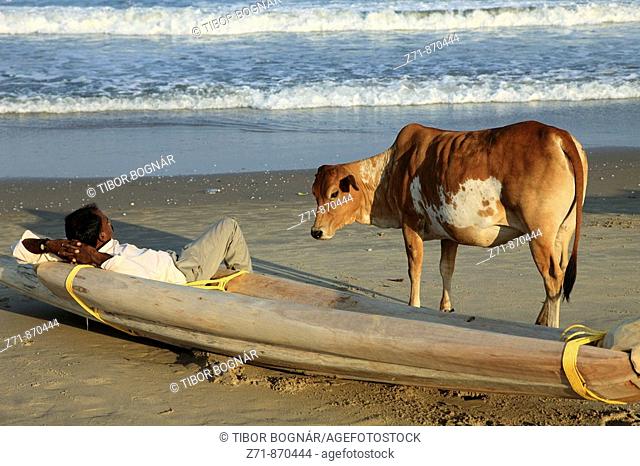 India, Tamil Nadu, Mamallapuram, Mahabalipuram, fisherman and holy cow on the beach