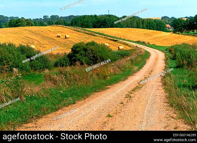beautiful road in a field, a wide dirt road in a field