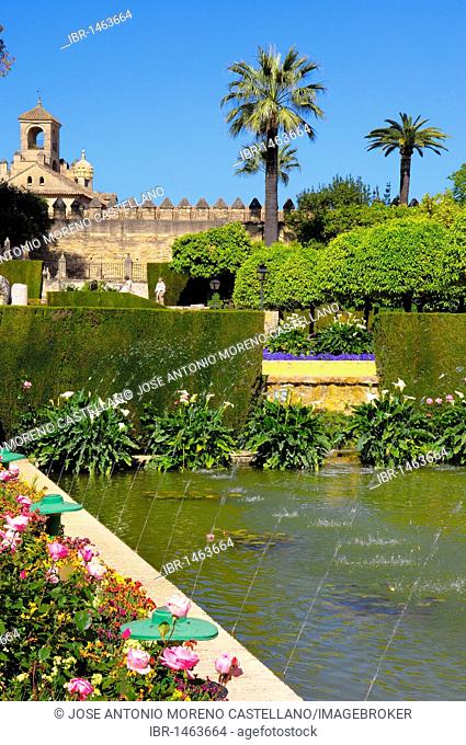 The gardens of Alcázar de los Reyes Cristianos, Alcazar of Catholic Kings, Cordoba, Andalusia, Spain, Europe