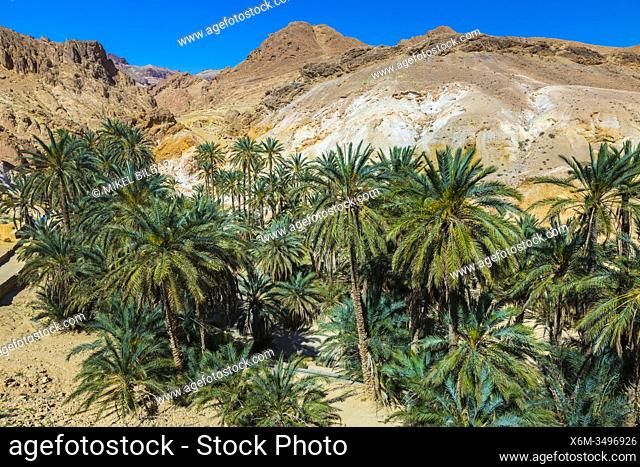 Mountain oasis. Chebika. Tunisia, Africa