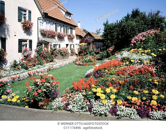 Flower garden. Swabian Jura region