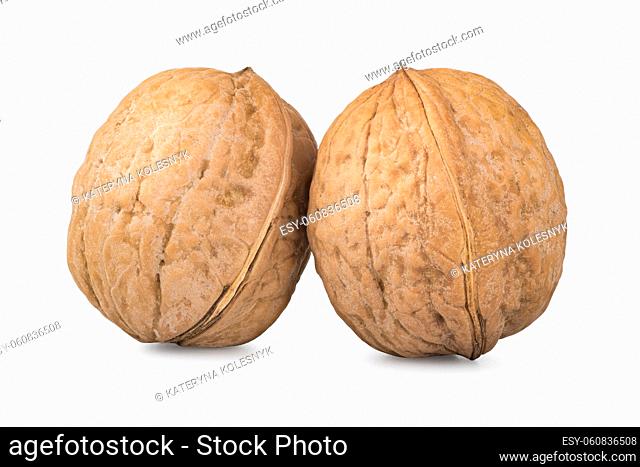 Two whole walnuts isolated on a white background