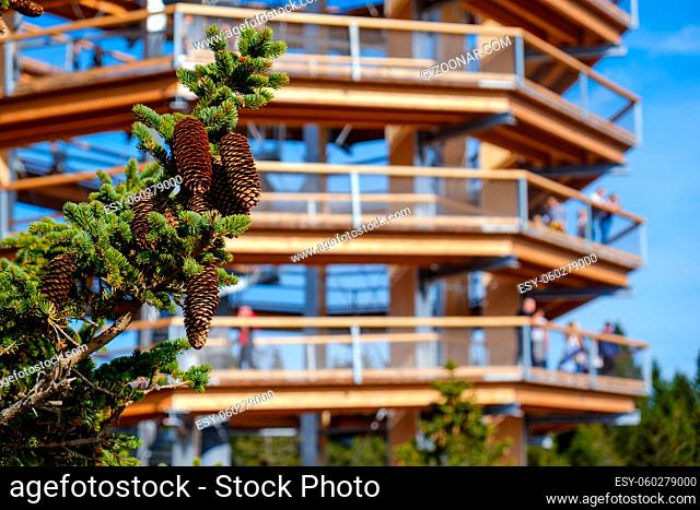 Forest canopy tower and walkway, footpath above treetops, outdoor adventure on Rogla, Slovenia