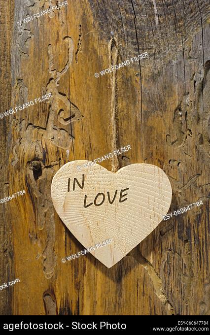wooden heart hanging on tree trunk as symbol for love and romance