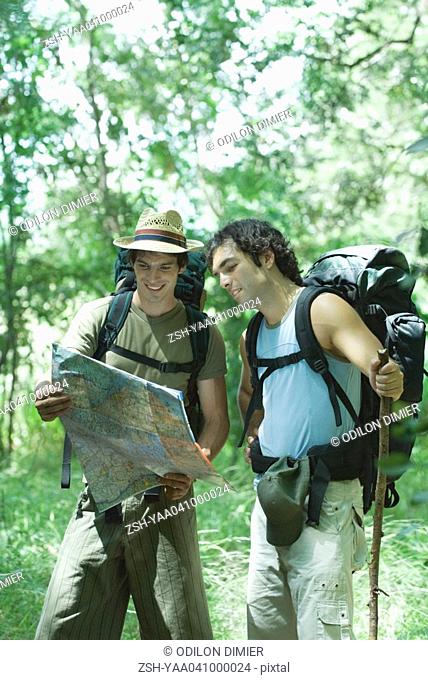 Two hikers standing in forest, studying map