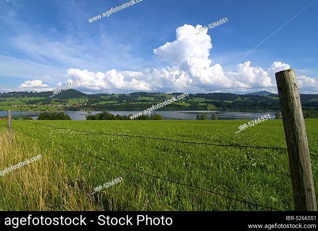 Rottachsee, Allgäu, Bavaria, Germany, Europe
