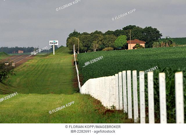 Rural road, lined with fields of corn, genetically modified corn, a sign of the US-American agricultural company Cargilln on the roadside, Alto Parana, Paraguay