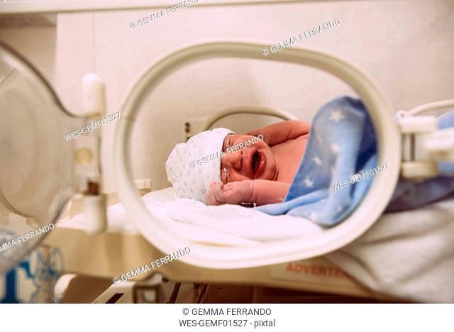 Crying newborn baby in an incubator