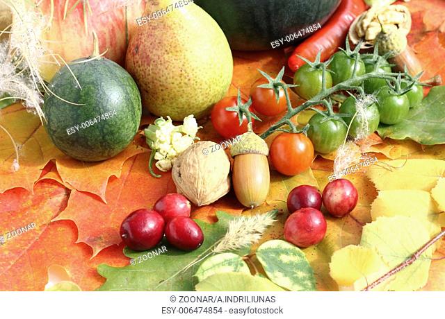 Healthy organic vegetables and fruits