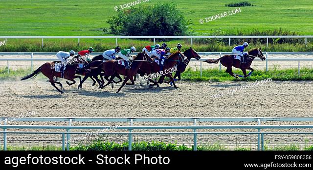 PYATIGORSK, RUSSIA - SEPTEMBER 02, 2018:Horse racing for the prize of memory of G.V. Kaishev - Champions Cup on the Pyatigorsk Hippodrome, Northern Caucasus