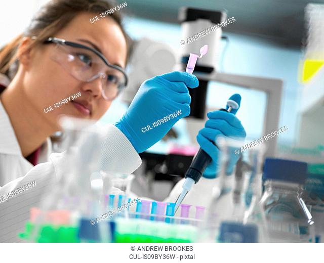 Scientist pipetting sample into vial for genetic testing in laboratory