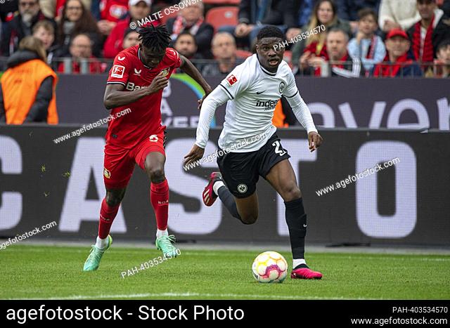 Eric DINA EBIMBE (F) versus Odilon KOSSOUNOU (LEV), action, duels, soccer 1st Bundesliga, 27th matchday, Bayer 04 Leverkusen (LEV) - Eintracht Frankfurt (F) 3:...