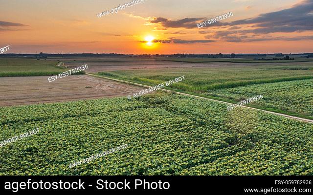 Colorful sunset over fields aerial in sunset, Podlaskie Voivodeship, Poland, Europe