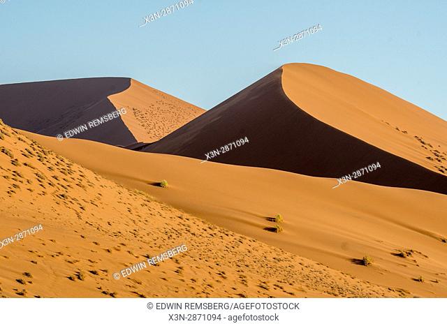 Ridges in the sand on Dune 45 in the Soussuvlei salt pan in Namib-Naukluft National Park, located in Namibia, Africa