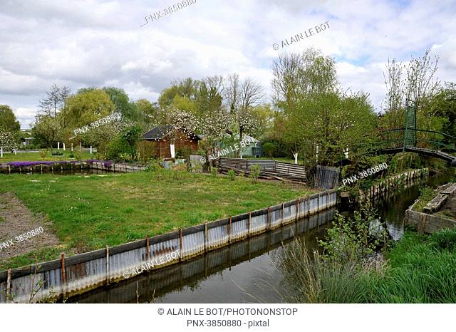 France, region of Hauts de France, Somme department, city of Amiens, floating gardens les Hortillonnages