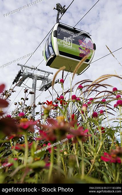 PRODUCTION - 20 September 2023, Baden-Württemberg, Mannheim: A cable car cabin with the inscription ""BUGA"" hovers behind flowers above the grounds of the...