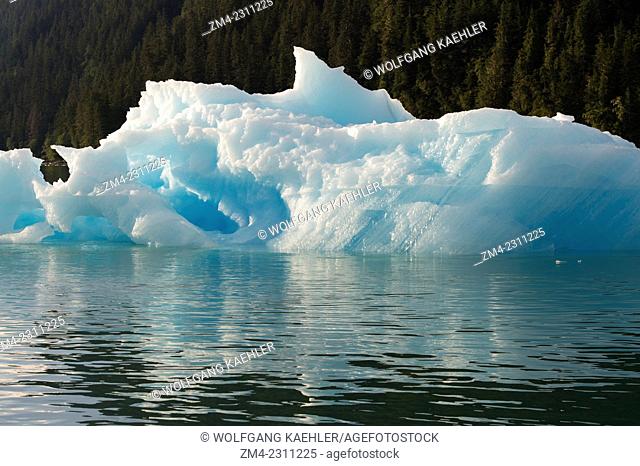 Icebergs from LeConte Glacier drifting in LeConte Bay, Tongass National Forest, Southeast Alaska, USA