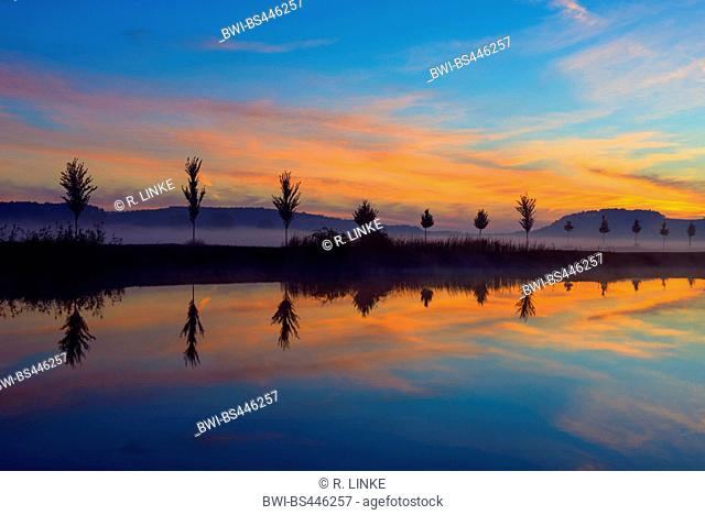 landscape with row of trees reflecting in lake at dawn with morning mist, Germany, Thueringen, Drei Gleichen