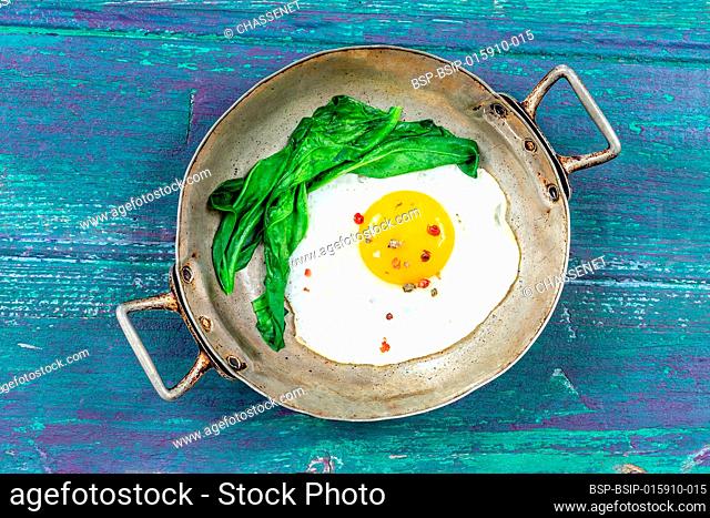 Rustic pan with fried egg and steam cooked spinach on a green-purple table