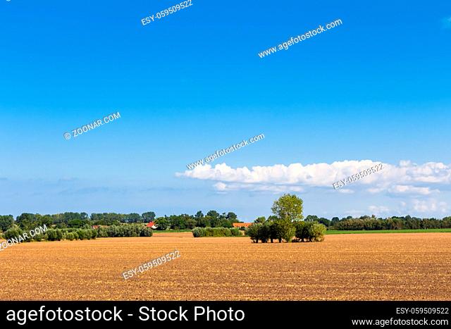 Agricultural area in summer with blue sky and white clouds in Germany