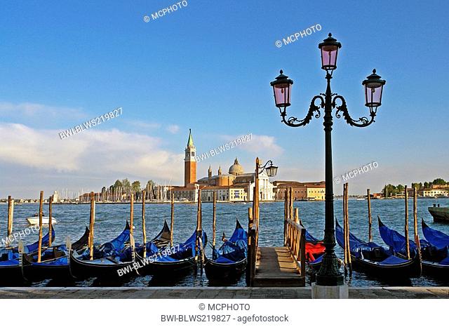 gondolas at the Canale Grande, in the background the St Mark's Square with the Campanile, Italy, Venice
