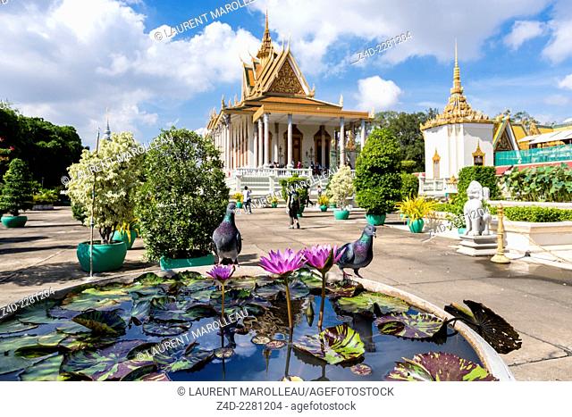 Pink Water Lily and Silver Pagoda. The Silver Pagoda's proper name is Wat Preah Keo Morokat, which means 'The Temple of the Emerald Buddha'