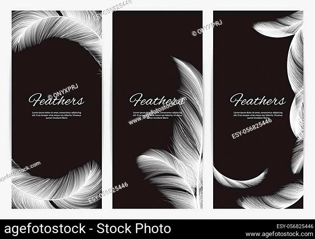 Feathers banners template. Realistic white swan falling feathers vector background. Promo banner and poster, lightweight realistic feather illustration