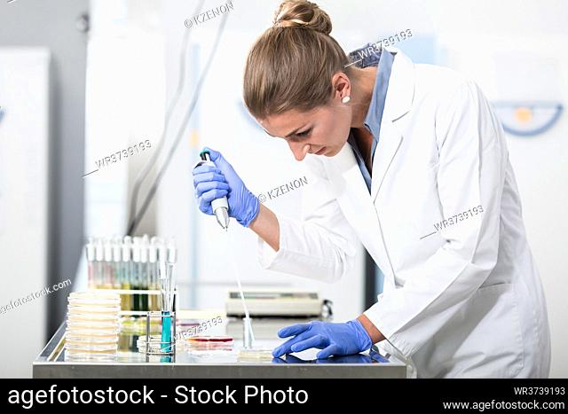 Research operator preparing samples in petri dishes