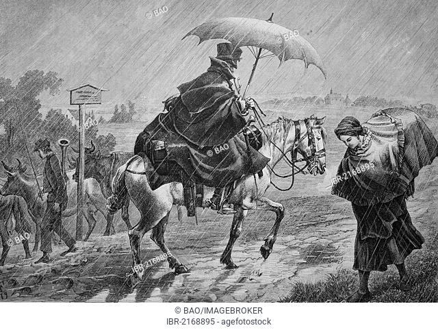 Stockman riding a horse in the rain, historical engraving, 1883