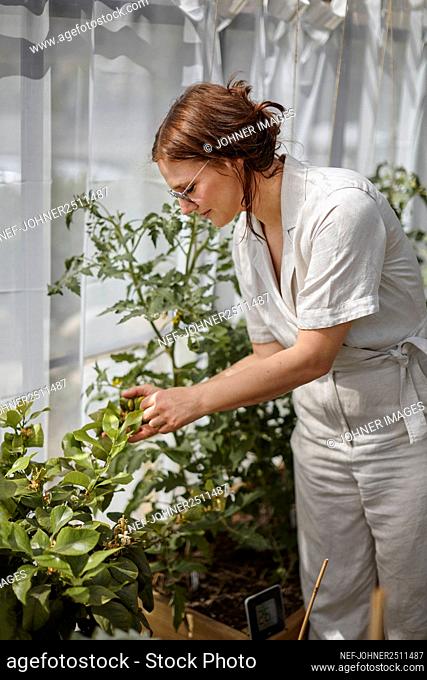 Woman taking care of plants