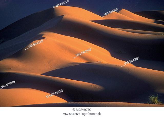 Star dunes in Sossusvlei, Desert Namib, Africa, Duenenlandschaft in Sossusvlei, W³ste Namib, Afrika, - Etoscha NP, Namibia, Afrika, 08/01/2006