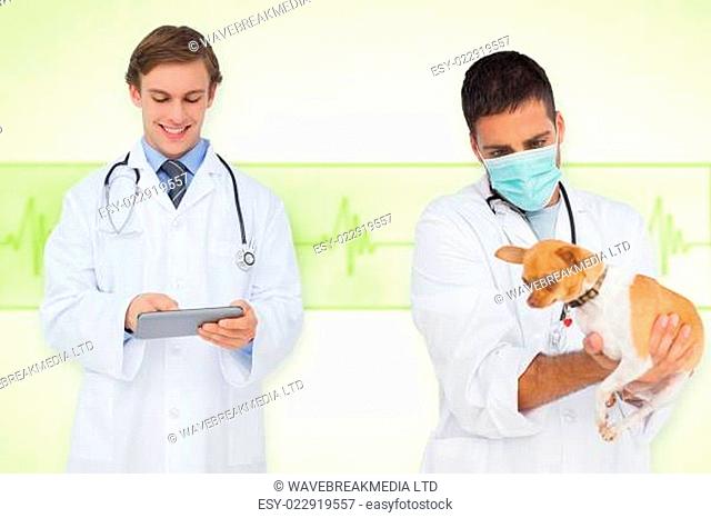 Composite image of vet and smiling doctor