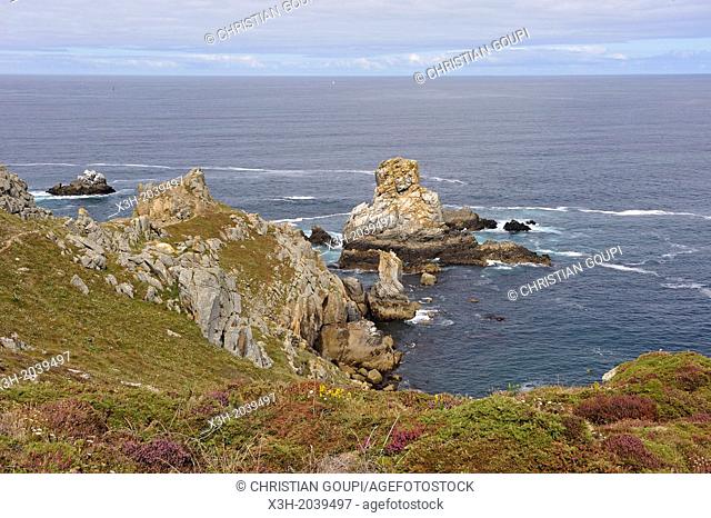 Pointe du Van, Cap Sizun, Finistere department, Brittany region, west of France, western Europe