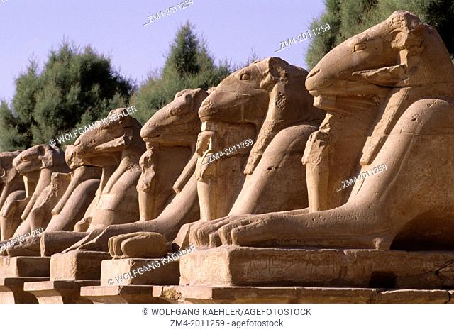 EGYPT, NILE RIVER, LUXOR, TEMPLE OF KARNAK, AVENUE WITH RAM-HEADED SPHINXES