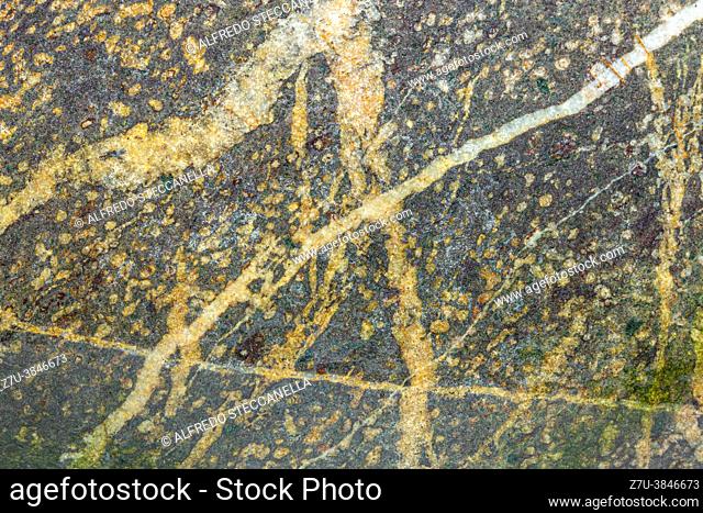 detail of a colorful sea stone, ideal for backgrounds and textures