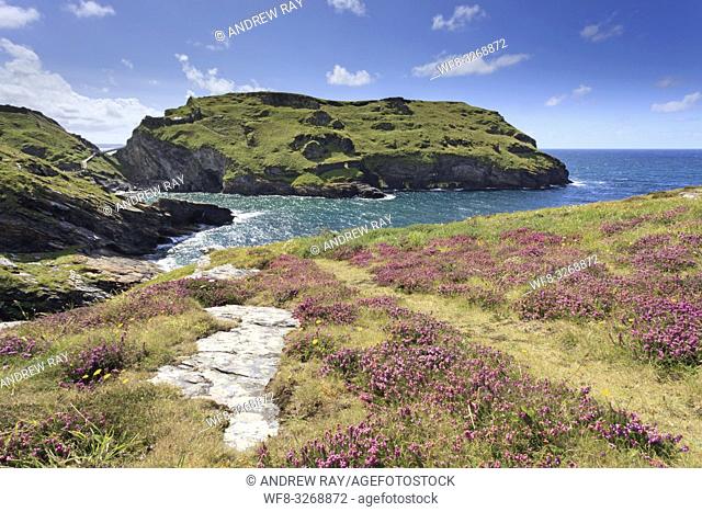 Tintagel Castle on the north coast of Cornwall captured in late July from Barras Nose