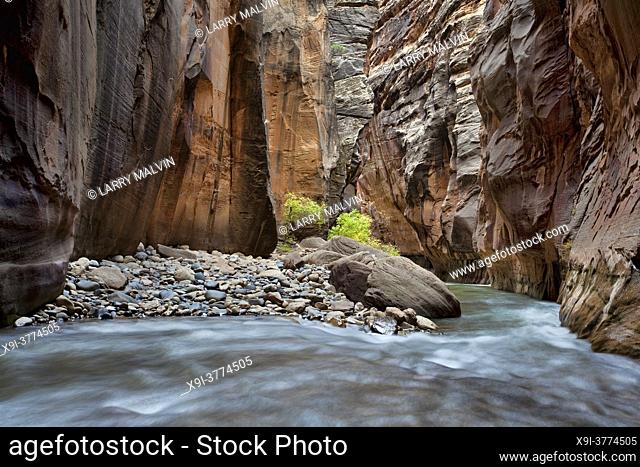 Section of the Virgin River Narrows with high walls and large boulders with a boulder field taking up half the river channel, Zion National Park, Utah