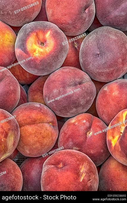 Many sweet peach fruits background. Vertical view