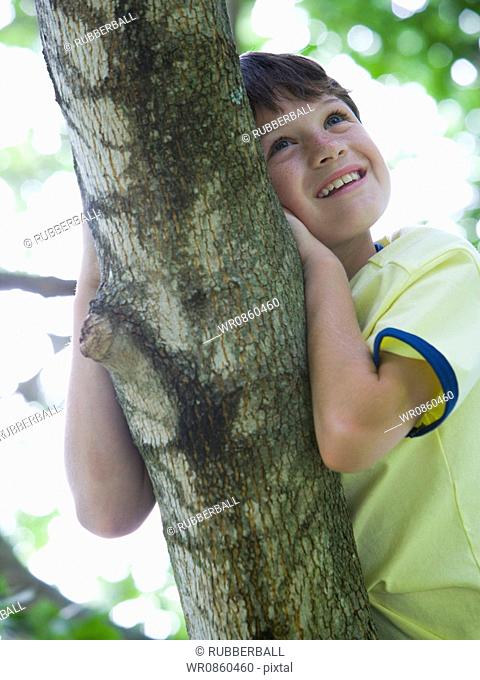 Low angle view of a boy lying on the branch of a tree