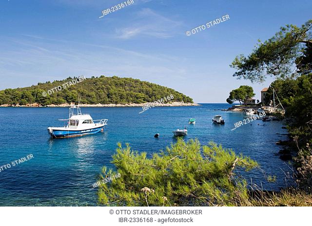 Fishing boats in a bay near Valdarke, Mali Losinj, Losinj Island, Adriatic Sea, Kvarner Gulf, Croatia, Europe